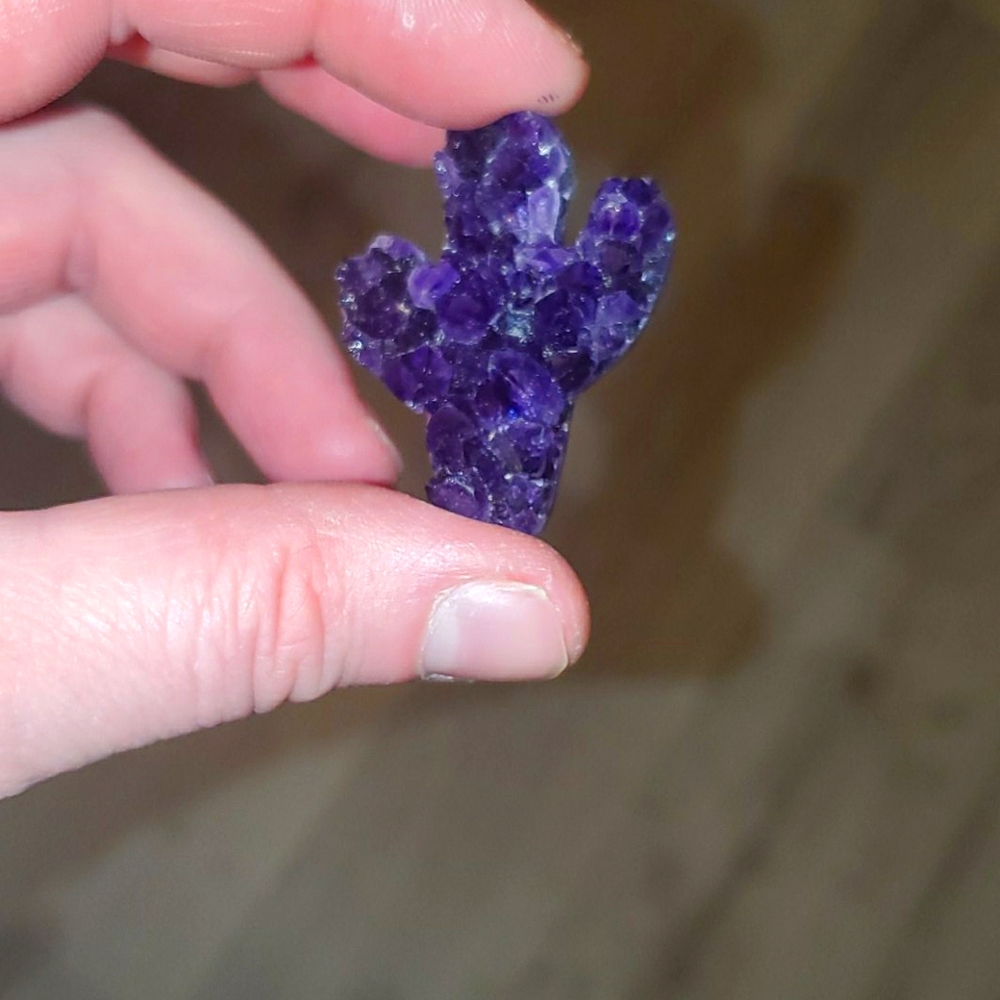 ADORABLE AMETHYST 🌵 CACTUS